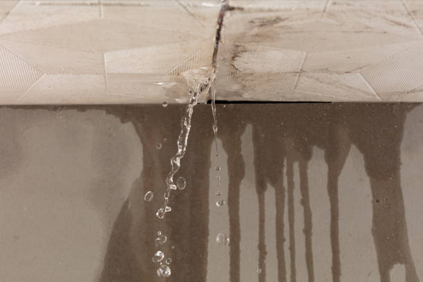 Professional Water Extraction technician working in Pine Island, TX